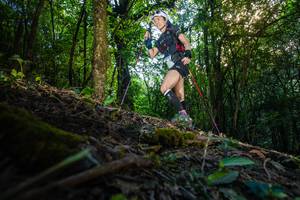 BIB: 
                            <button type="button" onclick="openModal(16010008)" class="btn btn-primary btn-sm float-right btn-popup" data-toggle="modal" data-target=".modal-high-quality">
                        <i class="fas fa-shopping-cart"></i> Add to Cart
                    </button>
                                            <button type="button" onclick="isThisMe(16010008, true)" class="btn btn-success btn-sm float-right btn-popup btn-isme hidden" data-toggle="tooltip" data-placement="bottom" title="นี่คือรูปของคุณใช่ไหม คลิกที่นี่เพื่อเอาเข้าอัลบั้ม">
                        <i class="fas fa-plus"></i> Add to album
                    </button>
                    <button type="button" onclick="isThisMe(16010008, false)" class="btn btn-warning btn-sm float-right btn-popup btn-isnotme hidden">
                        <i class="fas fa-ban"></i> Remove from album
                    </button>